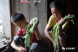 河南姐弟吃瓜视频完整版,揭秘背后真相与争议