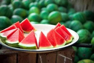 立秋吃瓜视频全集,跟随视频全集探寻传统美食文化