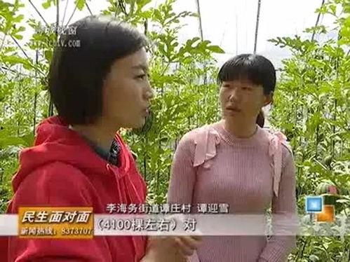 魏湾林庄吃瓜视频全集,揭秘幕后真相与趣味瞬间