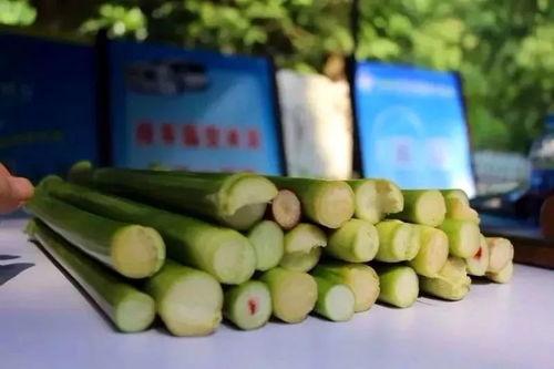 蒲芦瓜怎么吃最好吃视频,视频教你如何烹饪最佳口感