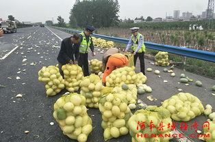 许昌豫园吃瓜事件视频,一场引发热议的网络视频风波