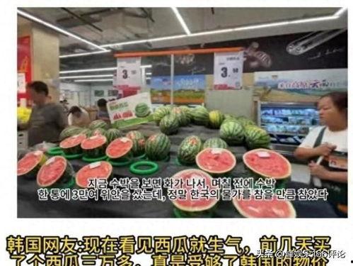 外国人看云南网友吃瓜视频,云南网友吃瓜视频，揭秘中国地方特色美食文化