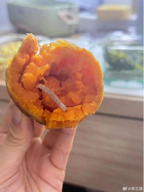 于适吃瓜视频同款