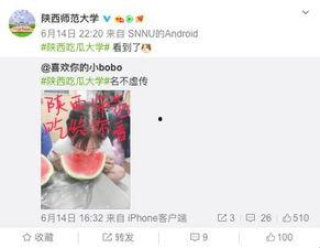 大学学姐吃瓜视频在线播放,在线播放背后的故事与真相