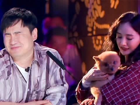 二舅吃瓜完整视频播放