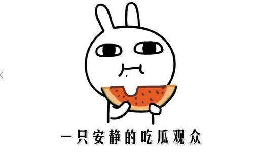 抖音搞笑段子吃瓜视频下载,吃瓜群众笑翻天，趣味视频下载狂欢