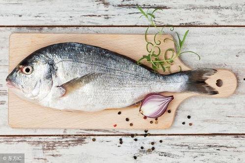 吃生八瓜鱼视频播放,视频带你领略独特风味